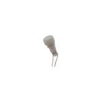 Starklips Dipsiz Ampul Uzun Telli Küçük Beyaz 12V 1,2W 5 Adet