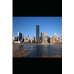 Starlight over New York: The New York power outage, and the starlit night, did it reignite their long-lost love?
