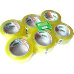 Starline Koli Bandı 6 Set 100 Metre