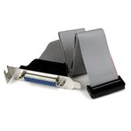 StarTech. com Low Profile IDC 26 (bağlantı), DB25 (bağlantı) adaptörü, 40 cm – anakart başlığı ICD26 paralel port DB25 Bracket