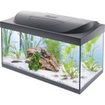 Starter Line 54 L Akvaryum Komple Set – Gündüz ve Gece Lambası LED Aydınlatma, Iç Filtre, Isıtıcı, Balık Yemi ve Su Hazırlama Cihazı Dahil [enerji Sınıfı F]