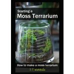 Starting a Moss Terrarium: How to make a moss terrarium