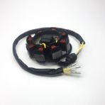 Stator Cg 3 Kablo - Aku Beslemelı