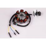 Stator Komple 125 Cg Serisi (3 Kablolu) FLC11100046