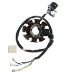STATÖR KOMPLE 125 CG SERİSİ (7+1)
