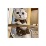 STEELVA Kahve Rengi Polar Kedi & Köpek Yeleği ve Kıyfeti