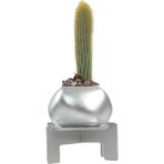 Stein Kohle Ayaklı Saksı Ahşap Büyük Boy 1 Adet Uygulamalı Spiral Oval Model - Gümüş