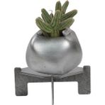 Stein Kohle Ayaklı Saksı Ahşap Dekoratif Kaktüs Saksısı 1 Adet Gümüş Renk Eskitme Uygulamalı Spiral Oval Model - Renkli