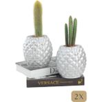 Stein Kohle Çiçek Saksısı Büyük Boy 2 Adet Gümüş Renk Uygulamalı Ananas Model