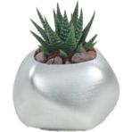 Stein Kohle Çiçek Saksısı Dekoratif Kaktüs Saksı 1 Adet Uygulamalı Spiral Oval Model - Gümüş