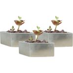 Stein Kohle Dekoratif Saksı Minik Kaktüs Saksısı Dörtgen Model - 3'Lü Set - Gümüş