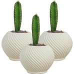 Stein Kohle Dekoratif Saksı Minik Kaktüs Saksısı İnce Çizgi Spiral - 3'lü SET - Beyaz