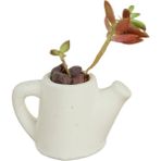 Stein Kohle Dekoratif Saksı Minik Kaktüs Saksısı Mini Çaydanlık Model - Tekli - Beyaz