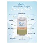 Stella Bianca - su Bazlı Saf Akrilik Boya Kokusuz Tenk Krater