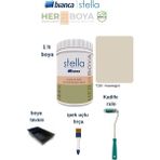 Stella Boya Seti (Bianca Stella Boya- Ipek Fırça- Kadife Rulo- Boya Kabı) – Kesekağıdı - 1 Lt