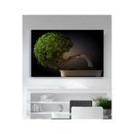 StellaStore Dev Ağaç Kanvas Tablo, 40 x 60
