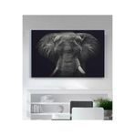 StellaStore Fil Kanvas Tablo, 30 x 40 mmc363
