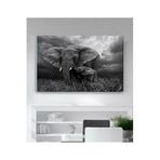 StellaStore Fil Kanvas Tablo,70 X 100,ugtcR416