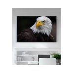 StellaStore Kartal Kanvas Tablo, 100 x 140 mmc265