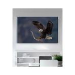 StellaStore Kartal Kanvas Tablo, 30 x 40 mmc345