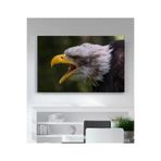 StellaStore Kartal Kanvas Tablo, 40 x 60 mmc263