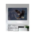 StellaStore Kartal Kanvas Tablo,60 X 90,ugtcR345