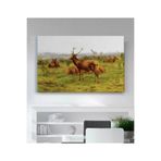 StellaStore Rose Bonheur Çayır Monarşisi Kanvas Tablo, 60 x 90