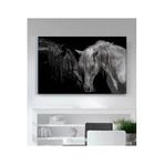 StellaStore Siyah Beyaz At Kanvas Tablo,50 X 70