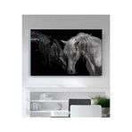StellaStore Siyah Beyaz At Kanvas Tablo,60 X 90