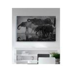 StellaStore Su Kıyısında Filler Kanvas Tablo, 70 x 100
