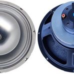 Sti COAX-15 1000W 2 Yollu Çıplak Hoparlör