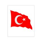 Sticker Dalgalı Türk Bayrağı Sticker