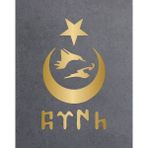 Sticker Dizayn Ay Yıldız Kurt ve Göktürkçe Türk Yazısı Sticker - Araba Oto Motosiklet Karavan Cam Sticker - 00328 - Altın - 80x46 Cm