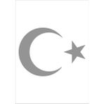 Sticker Dizayn Ay Yıldız Sticker Türk Bayrağı Sticker 00323 - 15x11 Cm - Gri
