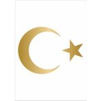 Sticker Dizayn Ay Yıldız Sticker Türk Bayrağı Sticker 00323 - 25x18 Cm - Altın
