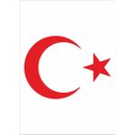 Sticker Dizayn Ay Yıldız Sticker Türk Bayrağı Sticker 00323 - 25x18 Cm - Kırmızı