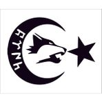Sticker Fabrikası Ay Yıldız Kurt Türk Bayrağı Sticker 00978 - 17 x 13 cm - Siyah