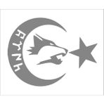 Sticker Fabrikası Ay Yıldız Kurt Türk Bayrağı Sticker 00978 - Gri - 30 x 23 cm