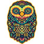 Sticker Fabrikası Baykuş 13x9 cm Duvar Stickerı