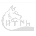 Sticker Fabrikası Göktürkçe Türk Yazı ve Kurt Araba Sticker 00920 - Beyaz - 35 x 27,5 cm
