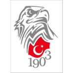 Sticker Fabrikası Kara Kartal Beşiktaş 1903 Sticker 00966 - Gri - 25 x 18 cm
