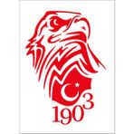 Sticker Fabrikası Kara Kartal Beşiktaş 1903 Sticker 00966 - Kırmızı - 15 x 10 cm