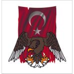 Sticker Fabrikası Kartal Türk Bayrağı Ay Yıldız Sticker 00942 - Renkli - 20 x 18,5 cm