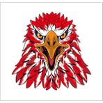 Sticker Fabrikası Kartal Türk Bayrağı Ay Yıldız Sticker 00944 - Beyaz - Kırmızı - 20 x 20 cm