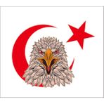 Sticker Fabrikası Kartal Türk Bayrağı Ay Yıldız Sticker 00946 - Renkli - 25 x 20 cm