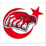 Sticker Fabrikası Kartal Türk Bayrağı Ay Yıldız Sticker 00947 - Beyaz - Kırmızı - 20 x 16 cm