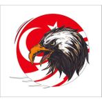 Sticker Fabrikası Kartal Türk Bayrağı Ay Yıldız Sticker 00949 - Renkli - 17 x 16 cm