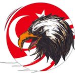 Sticker Fabrikası Kartal Türk Bayrağı Ay Yıldız Sticker 00949 - Renkli - 60x56 Cm