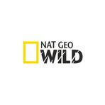 Sticker Fabrikası Nat Geo Wıld Netgeowild National Geographic 30x11 cm Duvar Stickerı