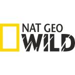 Sticker Fabrikası Nat Geo Wıld Netgeowild National Geographic Sticker 25 x 9 cm Renkli